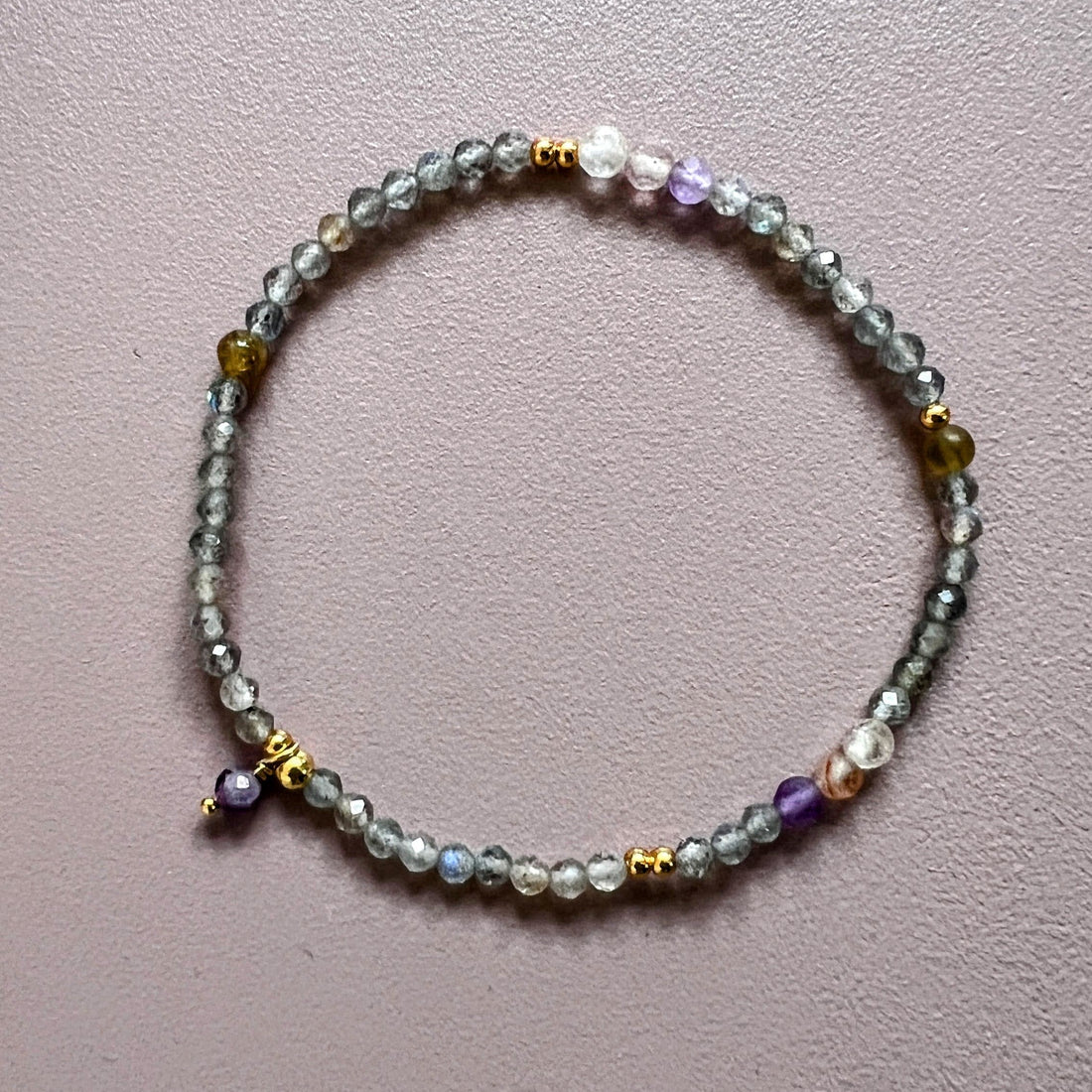 Jacky Moments: Intuition, labradoriet