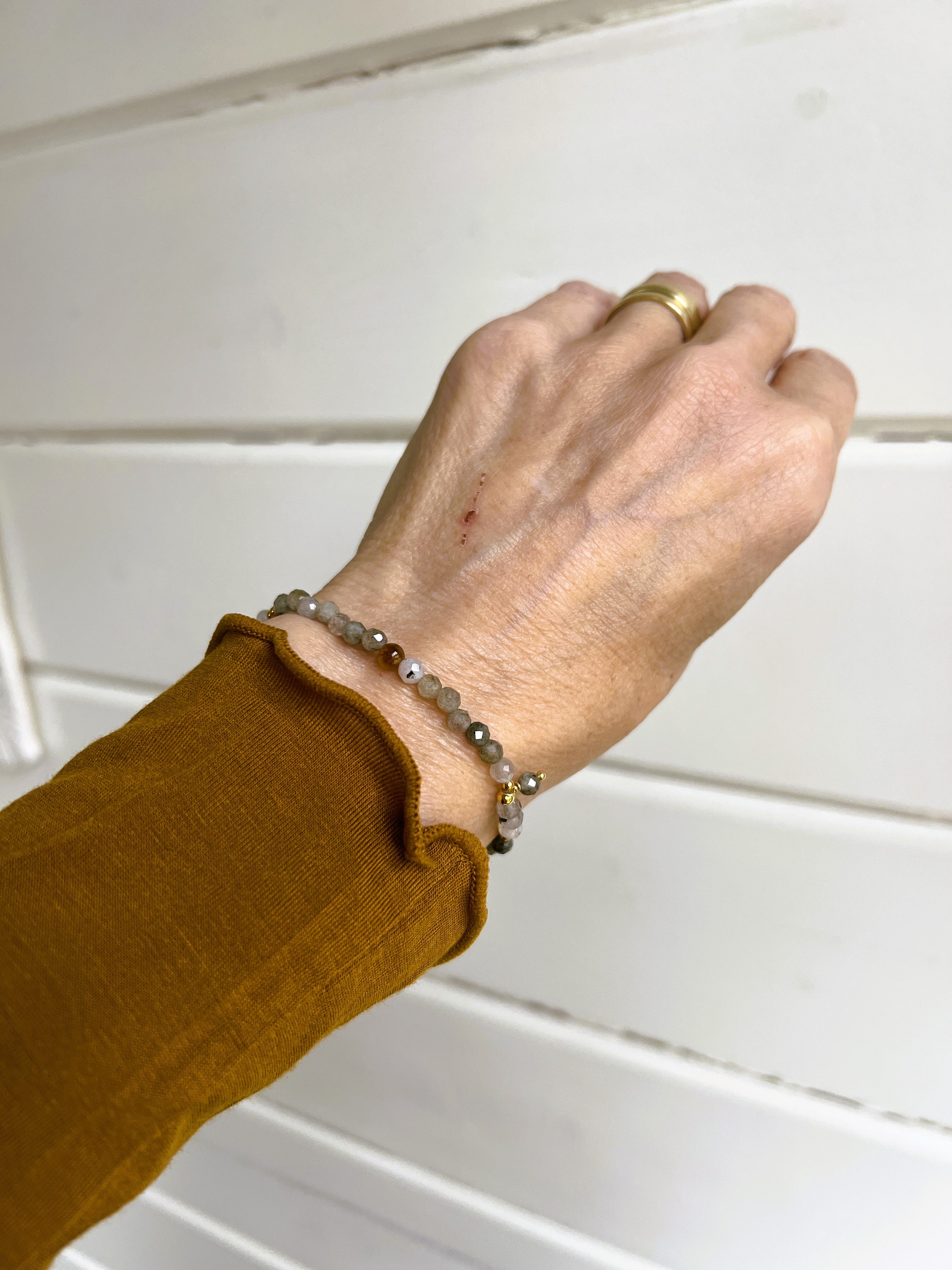 Jacky Moments: Inner Voice, labradoriet